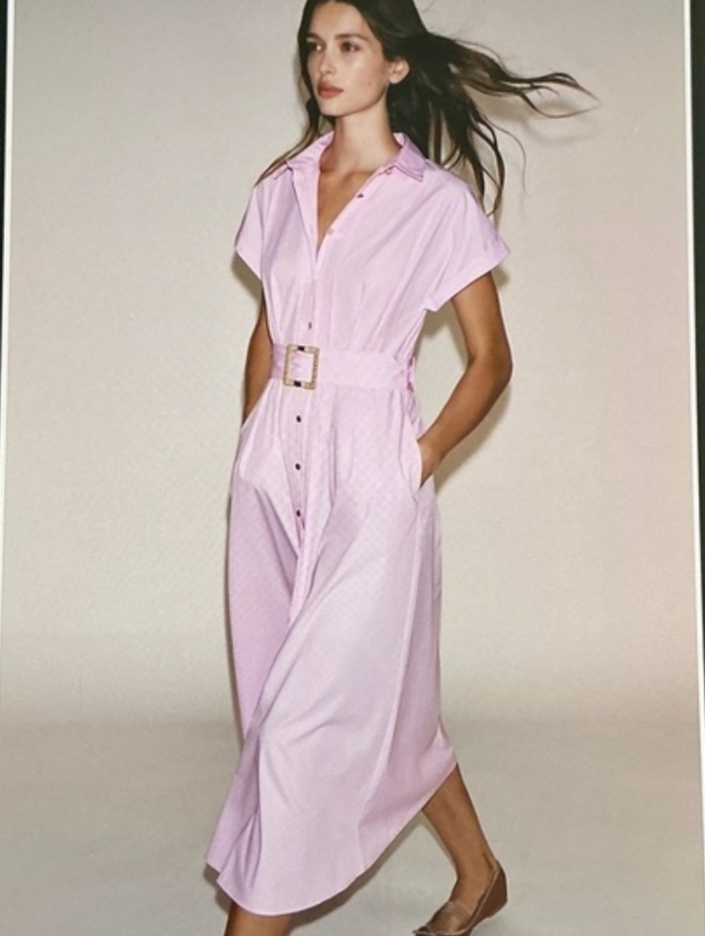 Zara dress